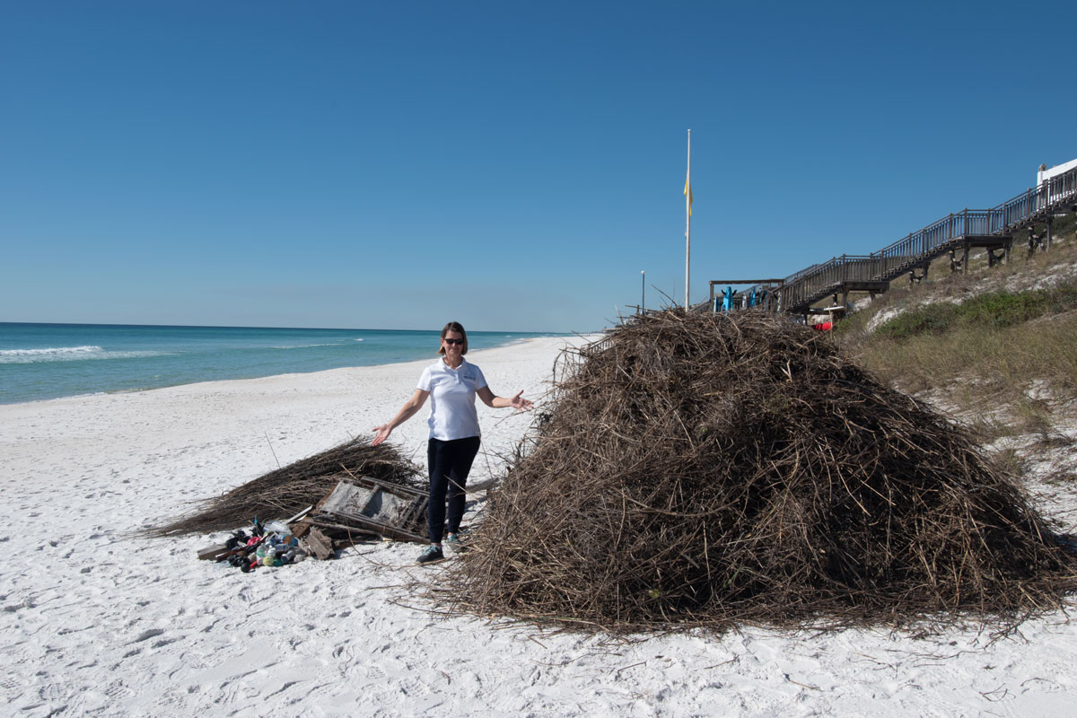 A pile of thatch extracted from a segment of a dune at Alys Beach