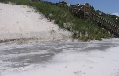 Sand Dune with and without vegetation